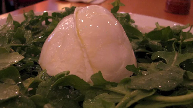 Mozzarella di Bufala Campana: Segreti, Scelta e il Piacere di Mangiarla Come Si Deve